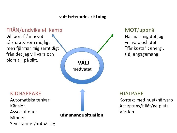 valt beteendes riktning FRÅN/undvika el. kamp Vill bort från hotet så snabbt som möjligt