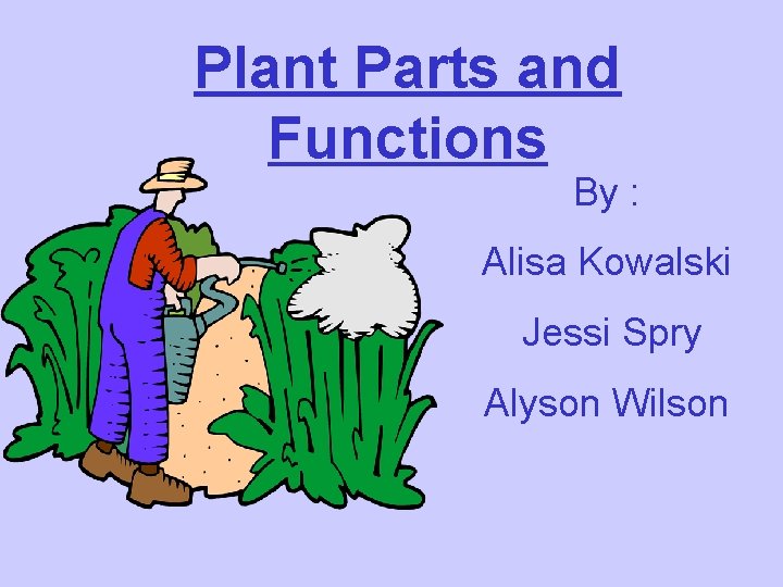 Plant Parts and Functions By : Alisa Kowalski Jessi Spry Alyson Wilson 