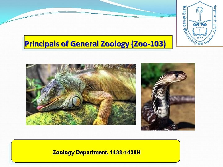 Principals of General Zoology (Zoo-103) Zoology Department, 1438 -1439 H 