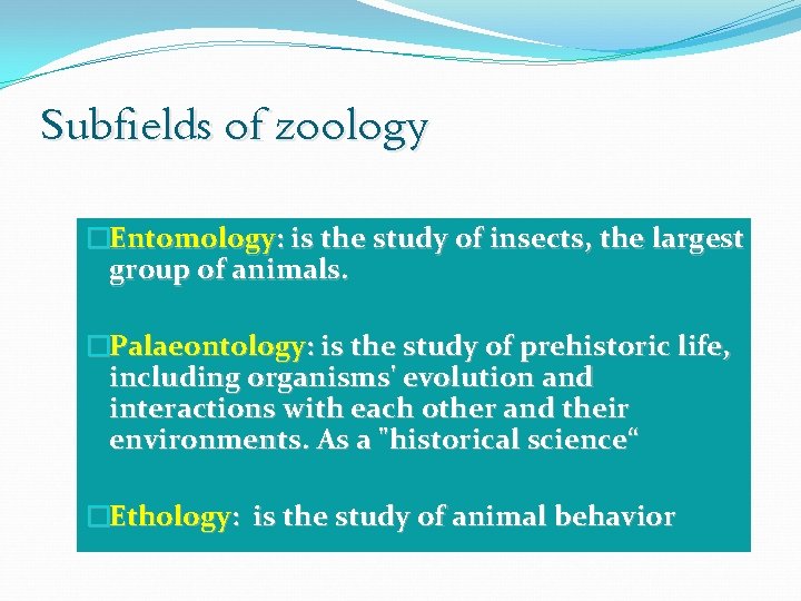 Subfields of zoology �Entomology: is the study of insects, the largest group of animals.