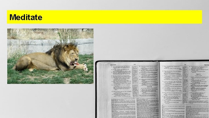 Meditate 