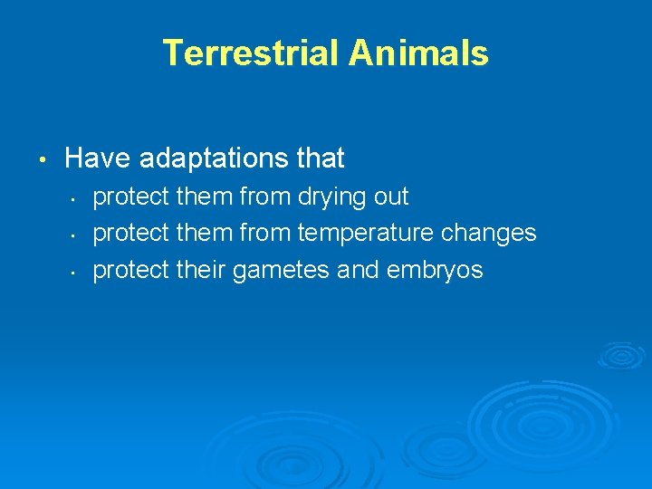 Terrestrial Animals • Have adaptations that • • • protect them from drying out