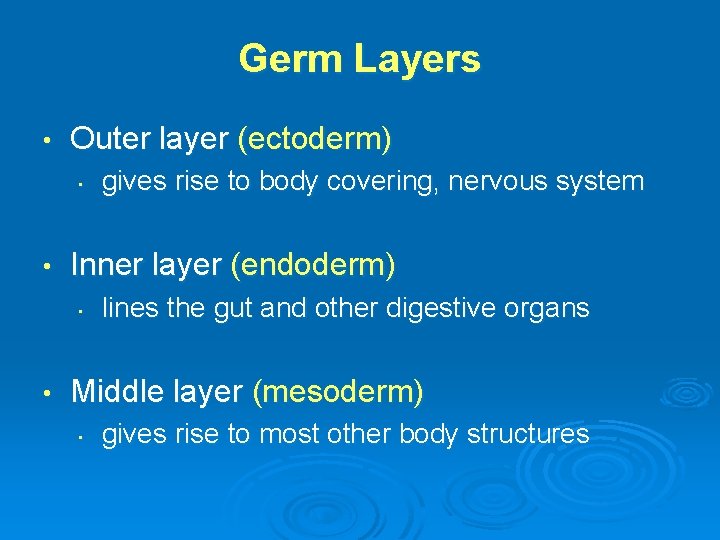 Germ Layers • Outer layer (ectoderm) • • Inner layer (endoderm) • • gives