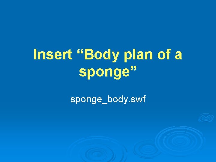Insert “Body plan of a sponge” sponge_body. swf 