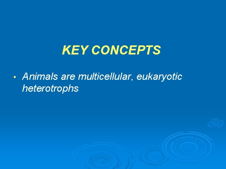 KEY CONCEPTS • Animals are multicellular, eukaryotic heterotrophs 