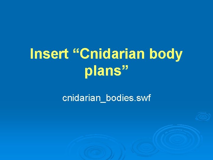 Insert “Cnidarian body plans” cnidarian_bodies. swf 