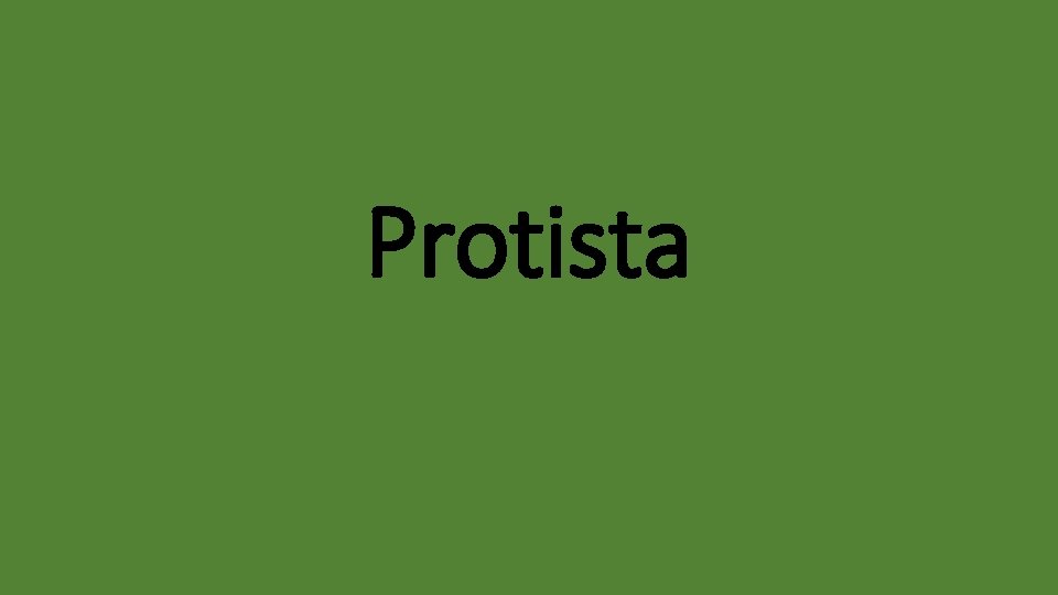 Protista 