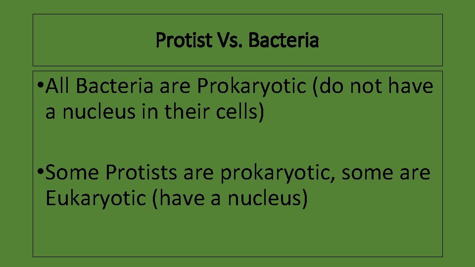Protist Vs. Bacteria • All Bacteria are Prokaryotic (do not have a nucleus in