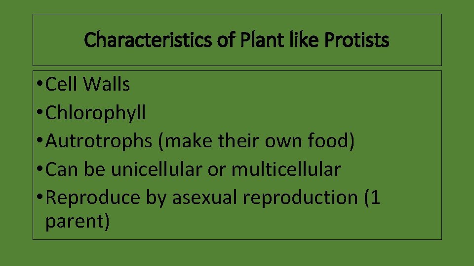 Characteristics of Plant like Protists • Cell Walls • Chlorophyll • Autrotrophs (make their