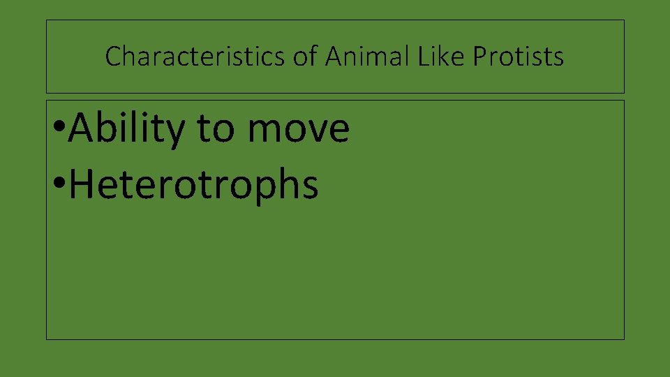 Characteristics of Animal Like Protists • Ability to move • Heterotrophs 