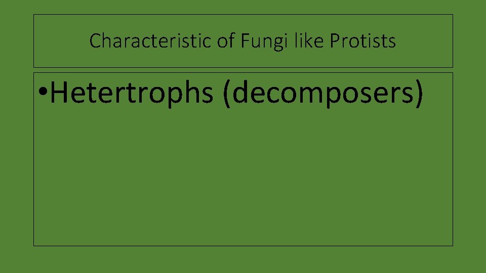 Characteristic of Fungi like Protists • Hetertrophs (decomposers) 