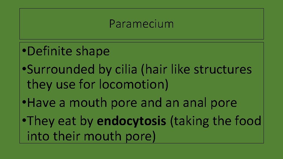 Paramecium • Definite shape • Surrounded by cilia (hair like structures they use for