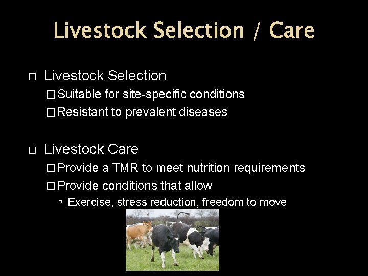 Livestock Selection / Care � Livestock Selection � Suitable for site-specific conditions � Resistant