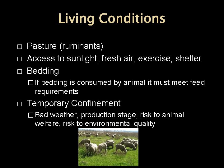 Living Conditions � � � Pasture (ruminants) Access to sunlight, fresh air, exercise, shelter