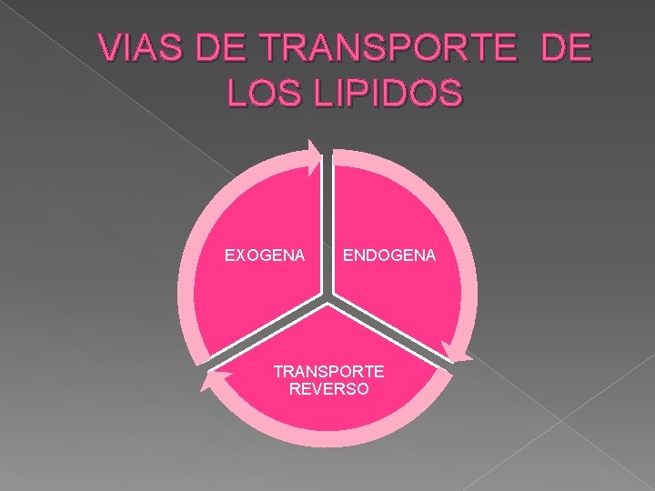 VIAS DE TRANSPORTE DE LOS LIPIDOS EXOGENA ENDOGENA TRANSPORTE REVERSO 