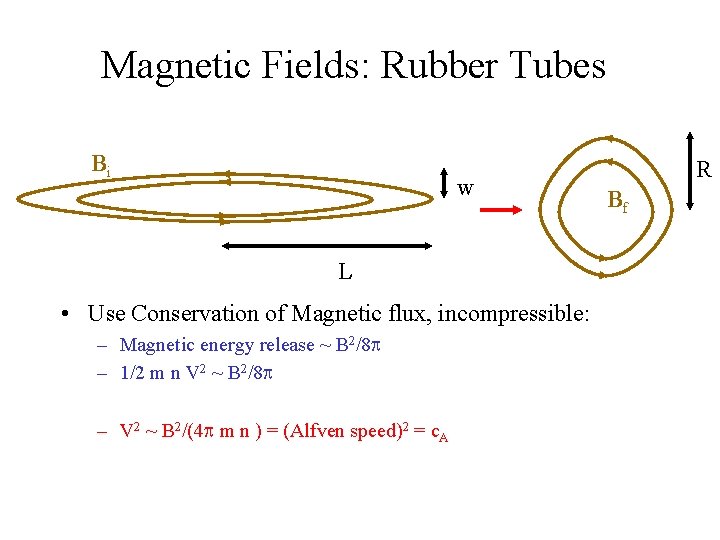 Magnetic Fields: Rubber Tubes Bi w L • Use Conservation of Magnetic flux, incompressible: