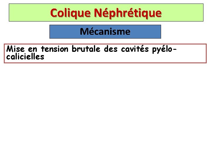 Colique Néphrétique Mécanisme Mise en tension brutale des cavités pyélocalicielles 