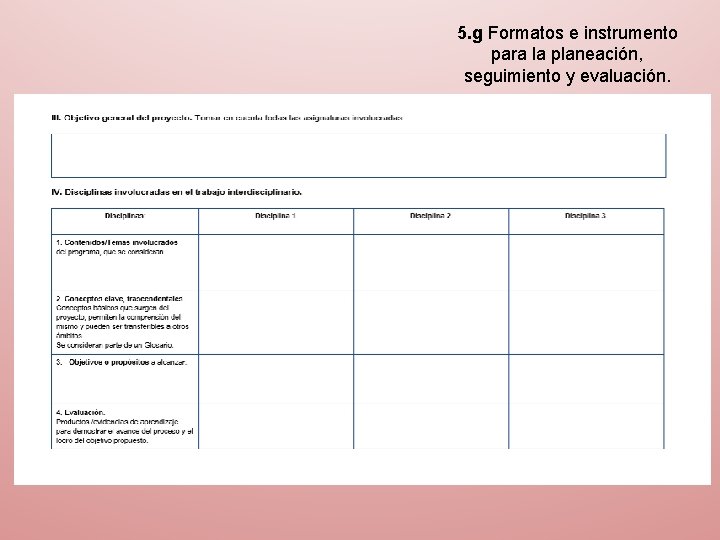 5. g Formatos e instrumento para la planeación, seguimiento y evaluación. 