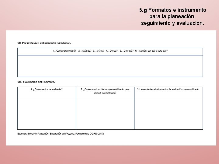 5. g Formatos e instrumento para la planeación, seguimiento y evaluación. 