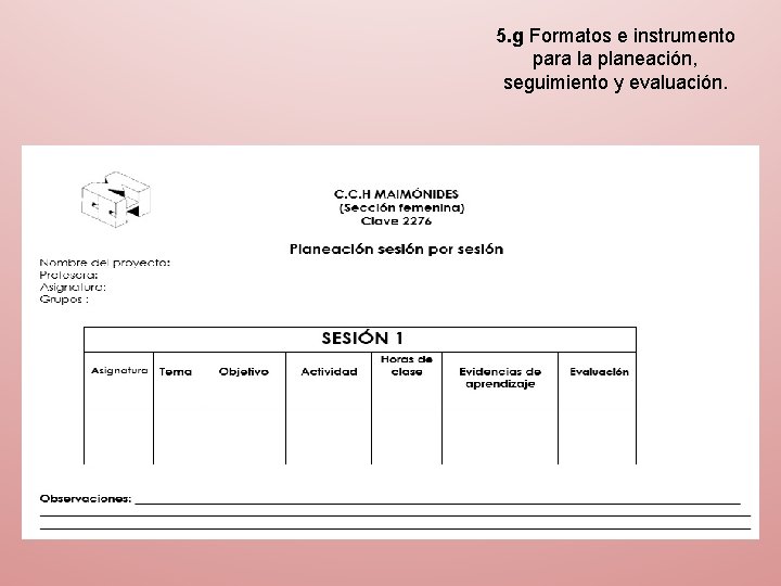 5. g Formatos e instrumento para la planeación, seguimiento y evaluación. 