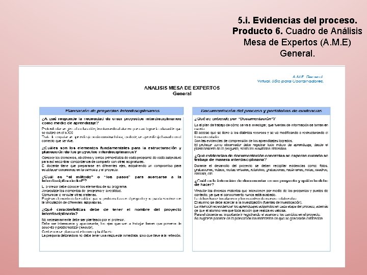 5. i. Evidencias del proceso. Producto 6. Cuadro de Análisis Mesa de Expertos (A.