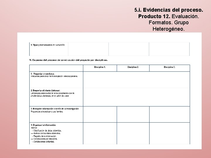 5. i. Evidencias del proceso. Producto 12. Evaluación. Formatos. Grupo Heterogéneo. 