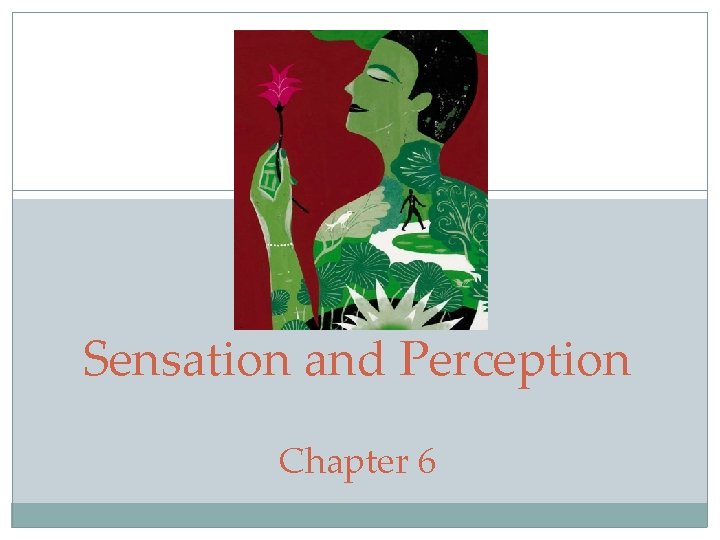 Sensation and Perception Chapter 6 