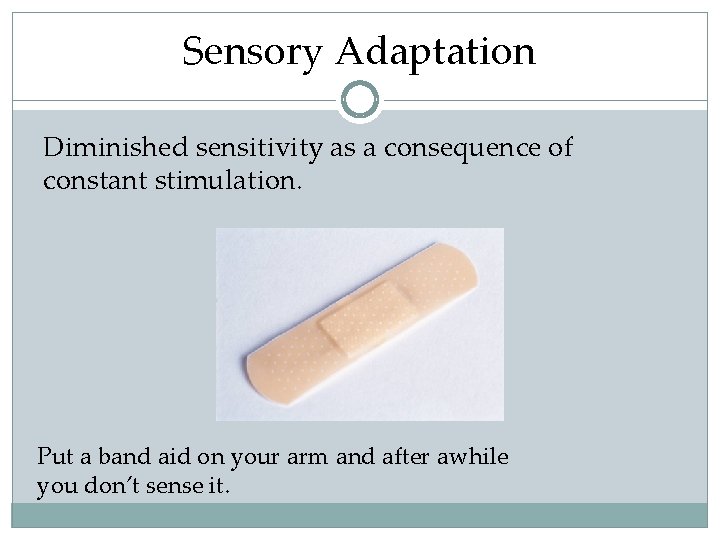 Sensory Adaptation Diminished sensitivity as a consequence of constant stimulation. Put a band aid