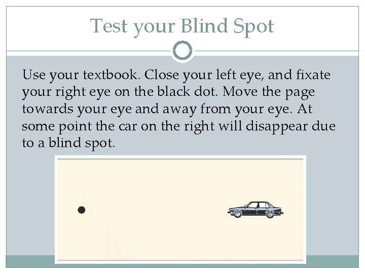 Test your Blind Spot Use your textbook. Close your left eye, and fixate your