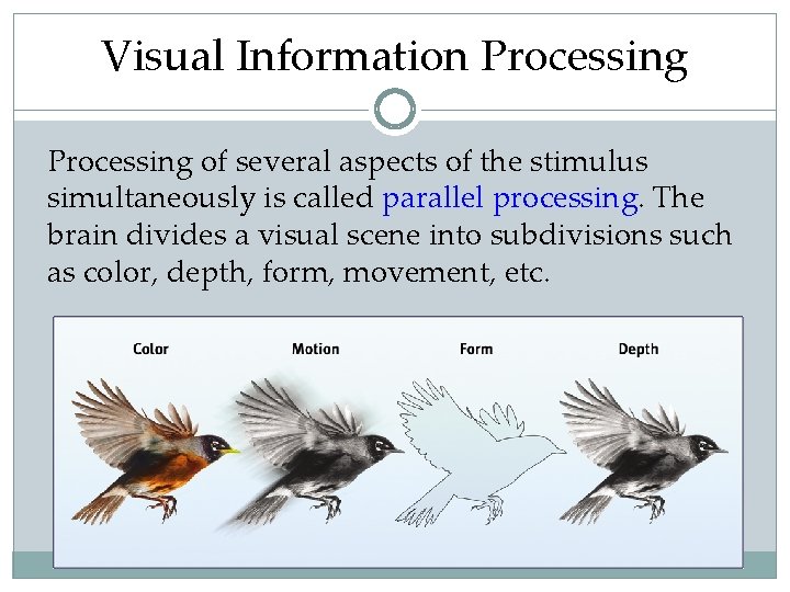 Visual Information Processing of several aspects of the stimulus simultaneously is called parallel processing.