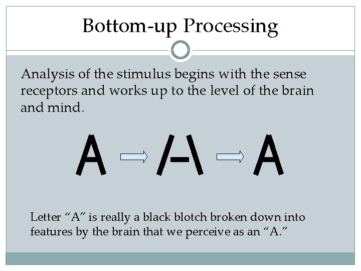 Bottom-up Processing Analysis of the stimulus begins with the sense receptors and works up