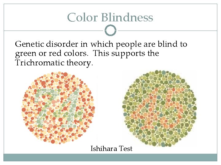 Color Blindness Genetic disorder in which people are blind to green or red colors.