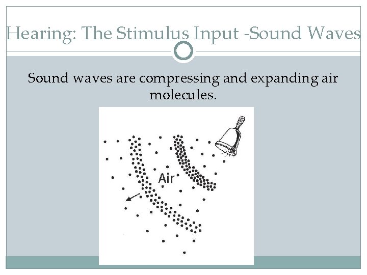 Hearing: The Stimulus Input -Sound Waves Sound waves are compressing and expanding air molecules.