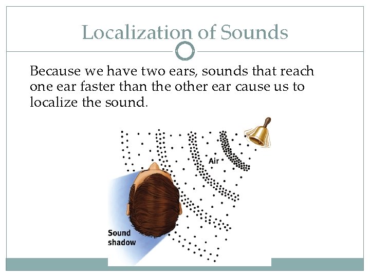 Localization of Sounds Because we have two ears, sounds that reach one ear faster