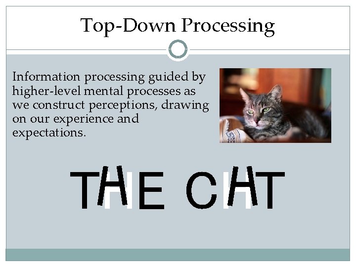 Top-Down Processing Information processing guided by higher-level mental processes as we construct perceptions, drawing