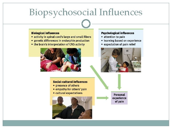 Biopsychosocial Influences 