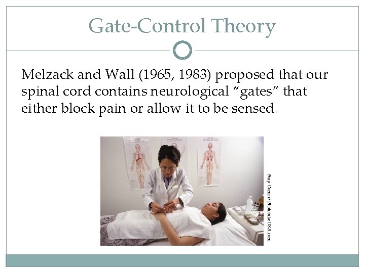 Gate-Control Theory Melzack and Wall (1965, 1983) proposed that our spinal cord contains neurological