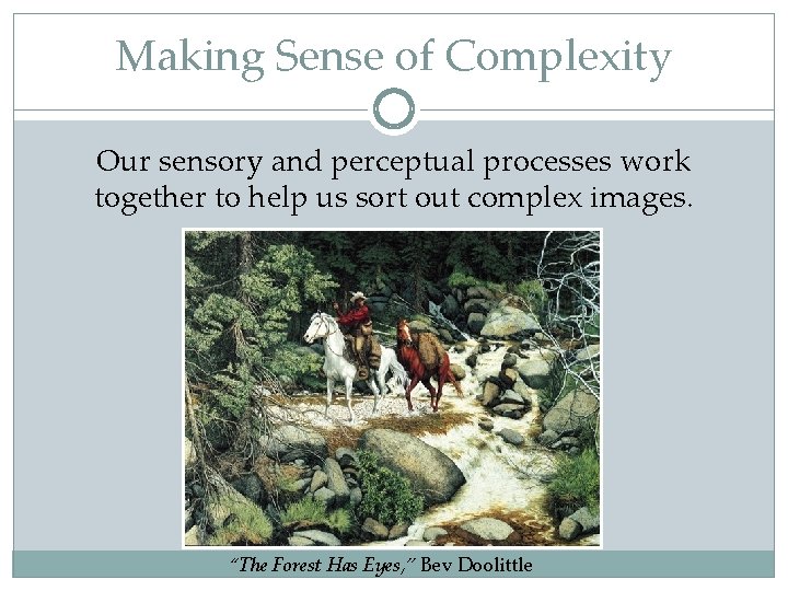 Making Sense of Complexity Our sensory and perceptual processes work together to help us