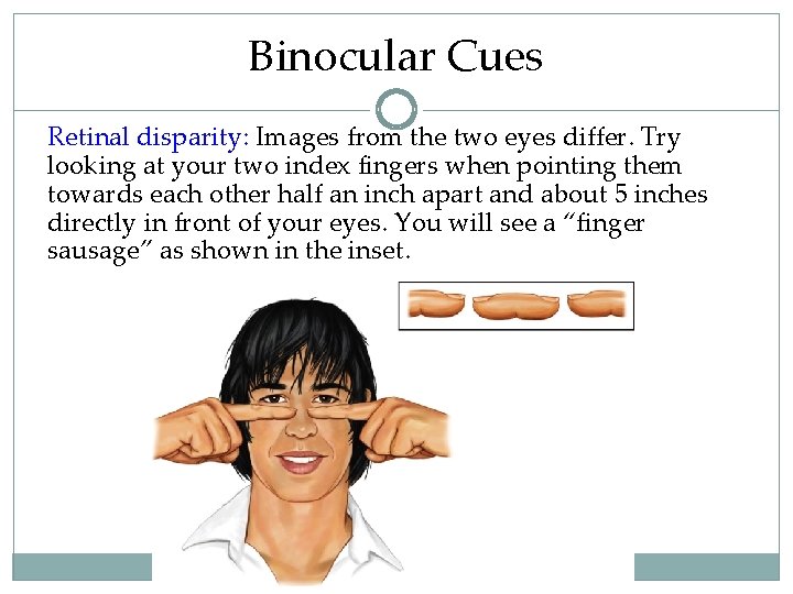 Binocular Cues Retinal disparity: Images from the two eyes differ. Try looking at your