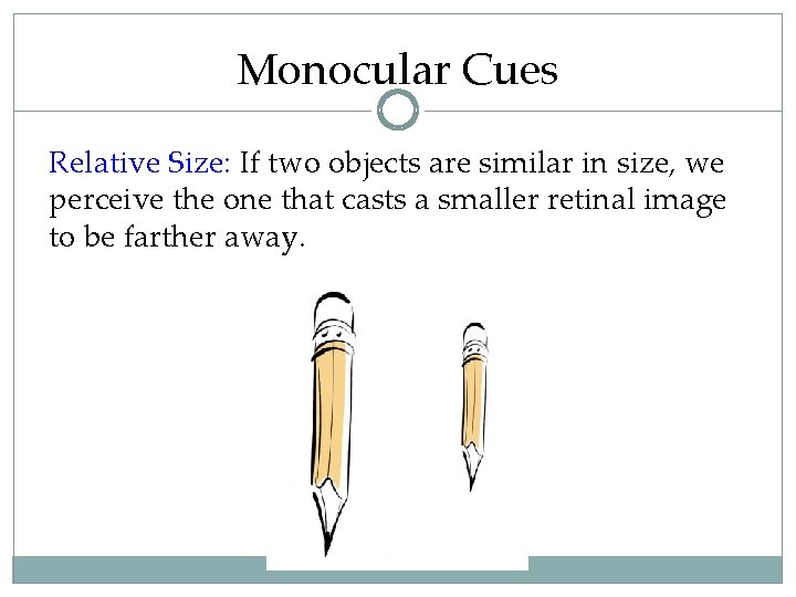 Monocular Cues Relative Size: If two objects are similar in size, we perceive the