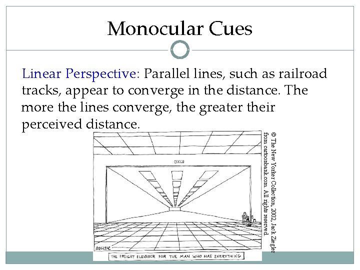 Monocular Cues Linear Perspective: Parallel lines, such as railroad tracks, appear to converge in