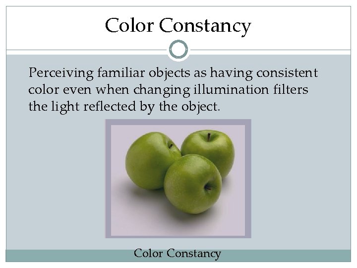 Color Constancy Perceiving familiar objects as having consistent color even when changing illumination filters