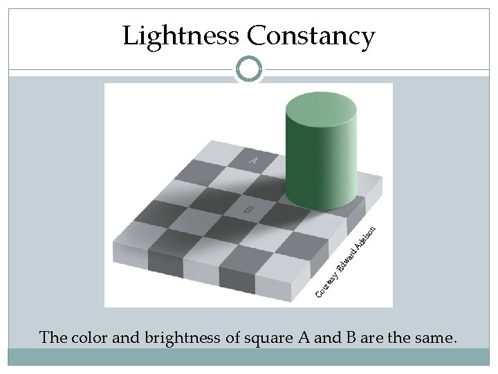 Co ur tes y Ed wa rd Ad els on Lightness Constancy The color