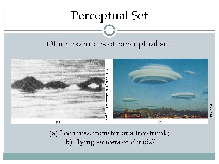 Perceptual Set Other examples of perceptual set. Dick Ruhl Frank Searle, photo Adams/ Corbis-Sygma