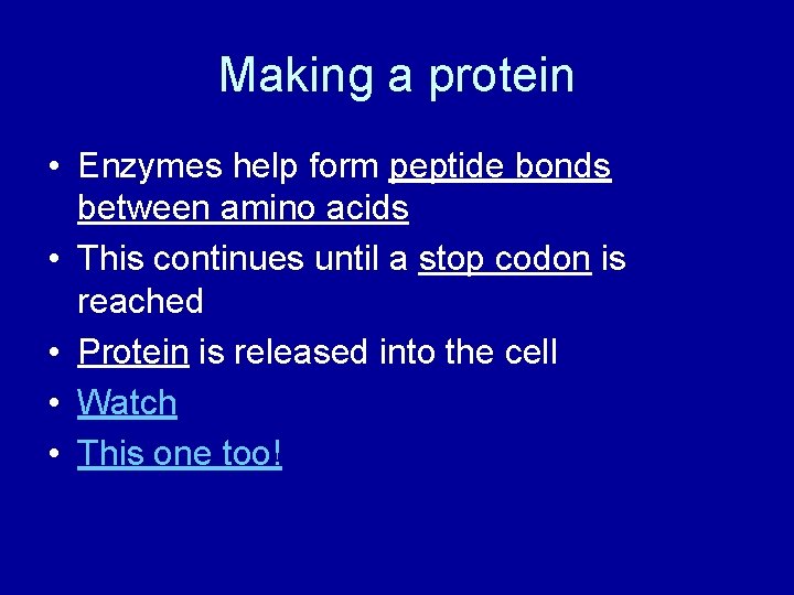 Making a protein • Enzymes help form peptide bonds between amino acids • This