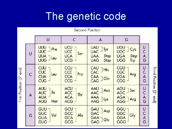The genetic code 