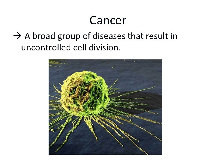 Cancer A broad group of diseases that result in uncontrolled cell division. 