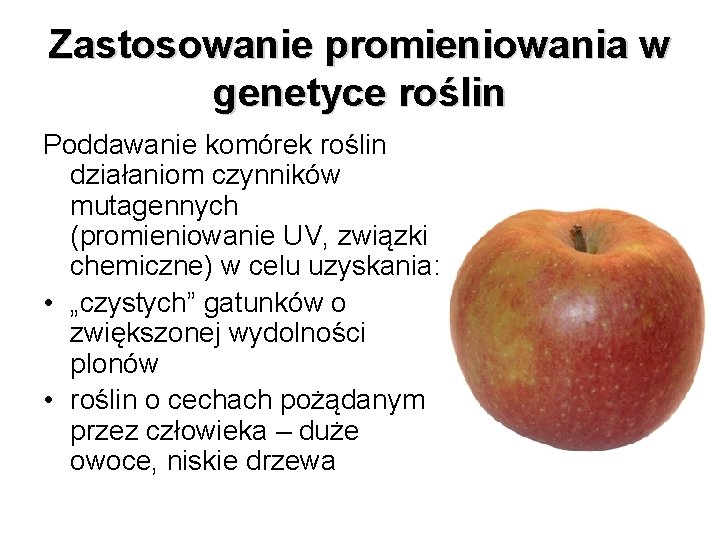 Zastosowanie promieniowania w genetyce roślin Poddawanie komórek roślin działaniom czynników mutagennych (promieniowanie UV, związki