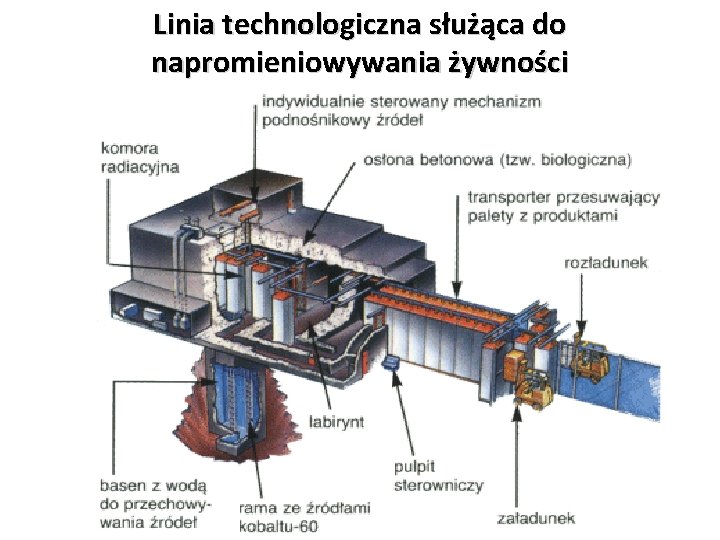 Linia technologiczna służąca do napromieniowywania żywności 