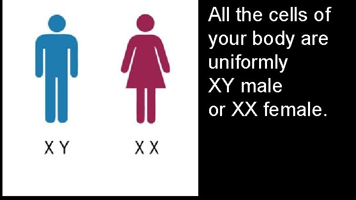 All the cells of your body are uniformly XY male or XX female. 